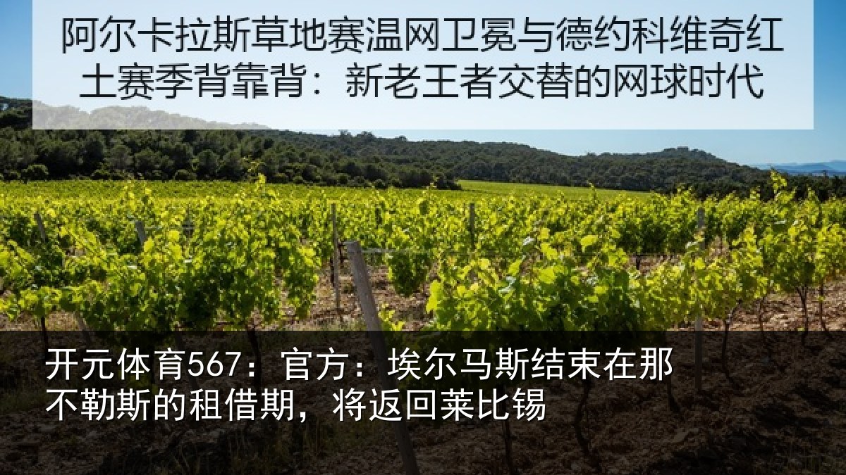 开元体育567:官方相关情况不勒相关情况莱比锡
