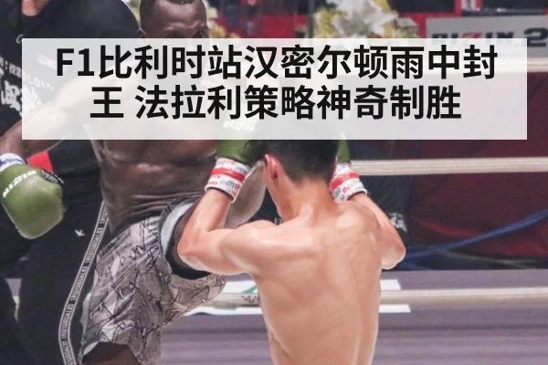 F1比利时站汉密尔顿雨中封王 法拉利策略神奇制胜